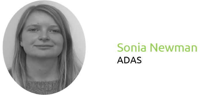 a person with long hair